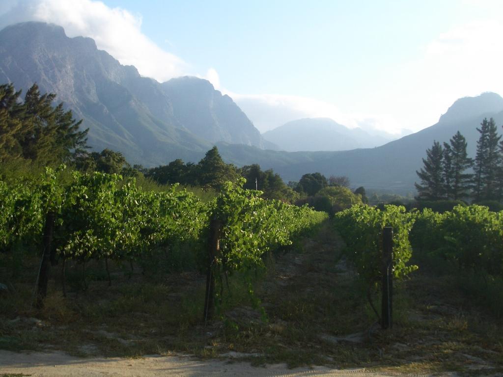 La Verdure Fruit Farm Франсхук Номер фото